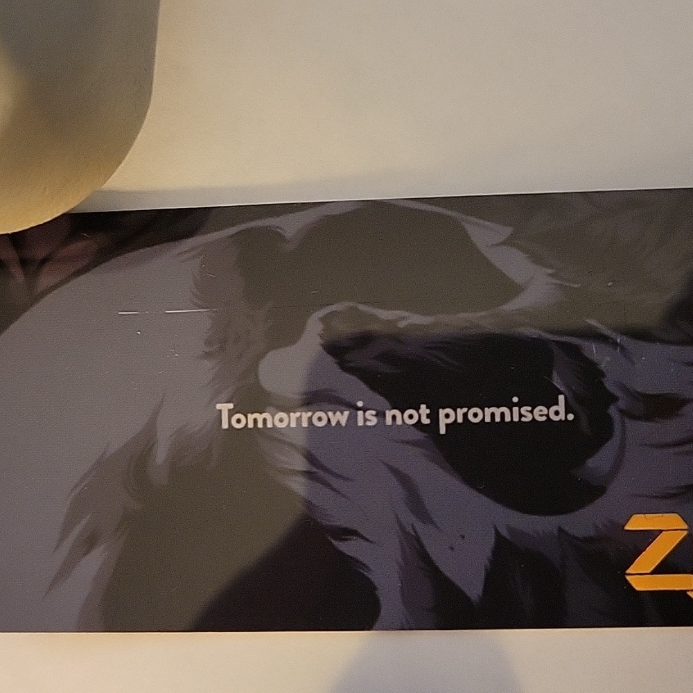 Zox watch strap - Picture 4 of 4